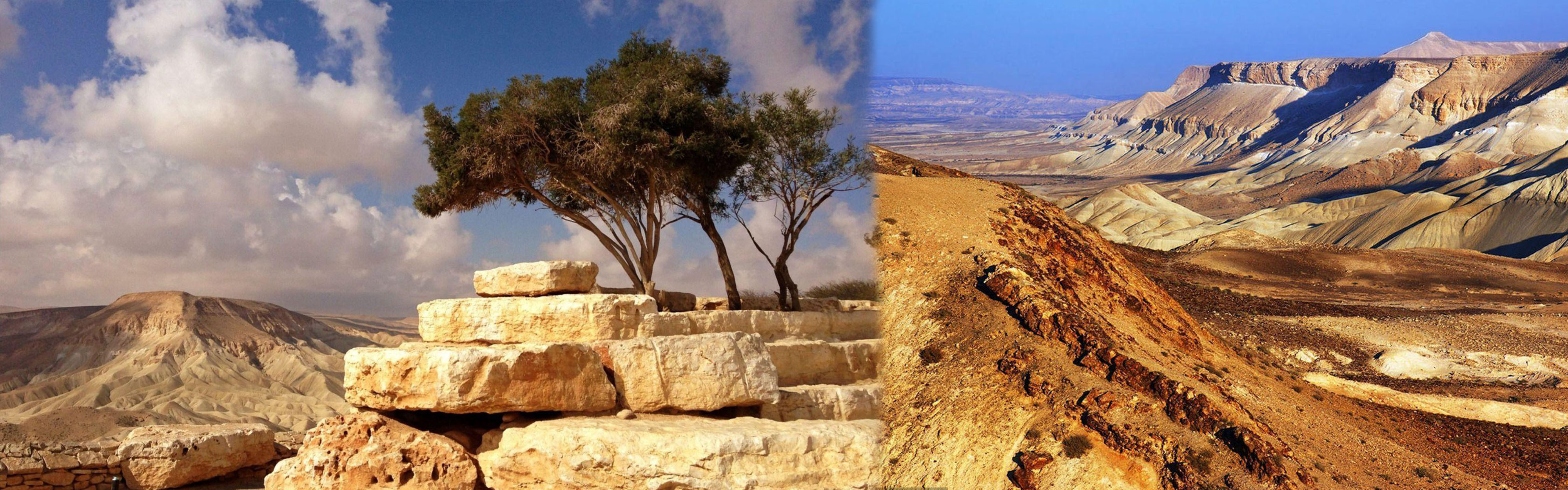 Recruitment Agency For Israel